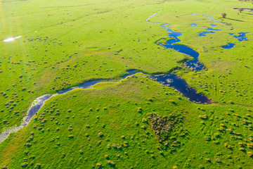 Small stream in a meadow with very green grass