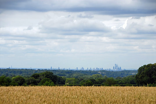 London from the North Downs at Reigate Hill Surrey. London skyline with fields. London is surrounded by a green belt of woods and fields. View of London across the fields. City skyline and countryside