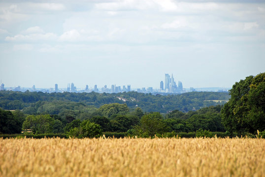 London from the North Downs at Reigate Hill Surrey. London skyline with fields. London is surrounded by a green belt of woods and fields. View of London across the fields. City skyline and countryside