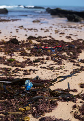 plastic on the shore of the atlantic ocean. the problem of ecology and environmental pollution