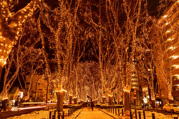 仙台イルミネーション