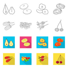Vector illustration of food and raw icon. Collection of food and nature stock vector illustration.