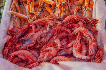 Fresh caught prawn and shrimp in seafood market