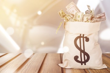 Money in the bag isolated on background