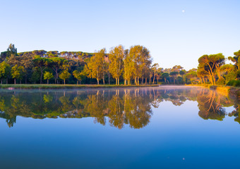 Trees in a park reflecting on lake's water. Reflected sky has a strong blue azure color while autumn colors start to show on the vegetation
