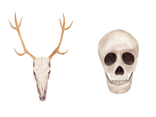 Hand drawn Watercolor human and deer skull set. Halloween illustration.