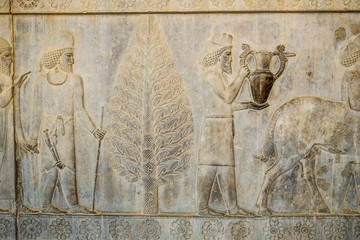 A bas-relief depiction of Armenian and Babylonian tribute bearer men carry present for the king at Apadana, East Stairs, southern part of Persepolis. Fars Province, Shiraz, Iran.