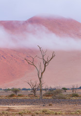 Sand Dunes, Namib Naukluft National Park, Namibia, Africa