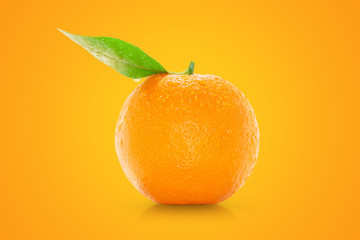 Juicy orange