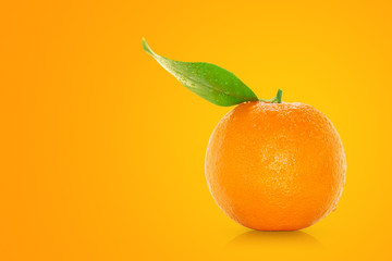 Juicy orange