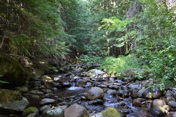 Naklejka na ściany i meble Ruby Creek, stream in forest