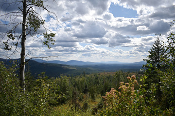 Blacktail Mountain Trail, view of mountains