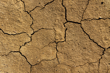 Terre sèche craquelée sécheresse 