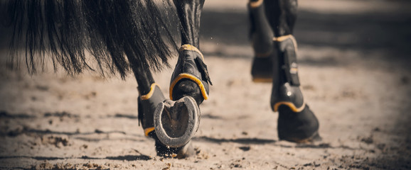 The shod hooves of a black horse, with a glossy long tail galloping across the sandy arena in the sunlight.