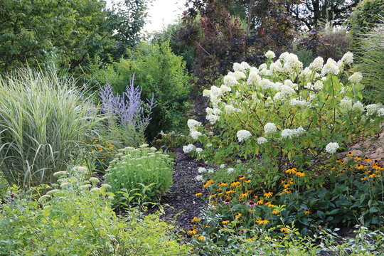 Beet mit bl&uuml;henden Stauden und Blumen im Garten