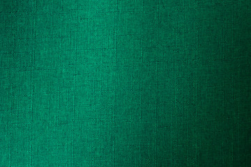 Green texture tissu