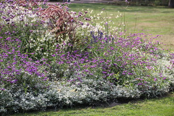 Zauberhaftes Rundbeet mit Blumen