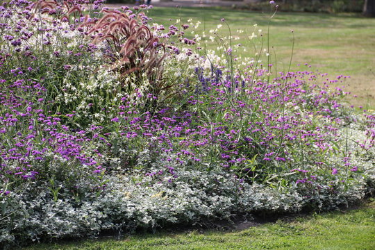 Zauberhaftes Rundbeet mit Blumen