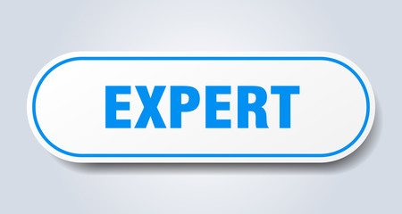expert sign. expert rounded blue sticker. expert