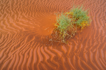 Sand Dunes, Namib Naukluft National Park, Namibia, Africa