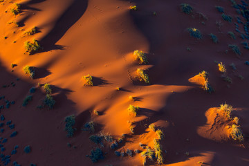 Sand Dunes, Namib Naukluft National Park, Namibia, Africa