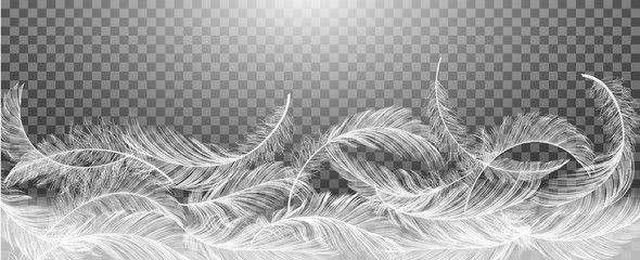 White Realistic Different Falling Feathers Isolated on Transparency Grid Background. Design Template. Vector illustrtion