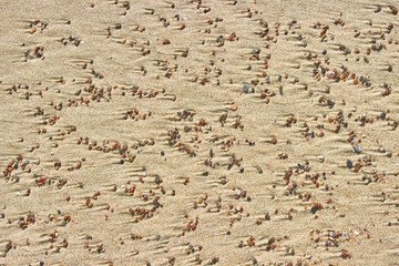 Sea shore. Sand texture 
