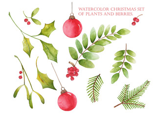 Watercolor Christmas set of plants and berries.