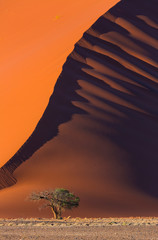Sand Dunes, Namib Naukluft National Park, Namibia, Africa