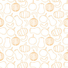 Vector seamless pattern with hand drawn outline pumpkins. Garden vegetable background. Template for fabric, wrapping paper, harvest festival or halloween decoration. Contour image