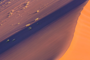 Sand Dunes, Namib Naukluft National Park, Namibia, Africa