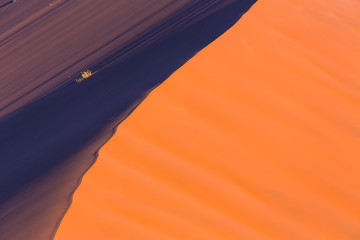 Sand Dunes, Namib Naukluft National Park, Namibia, Africa