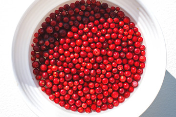many berries of red lingonberry on the white plate. lingonberry close