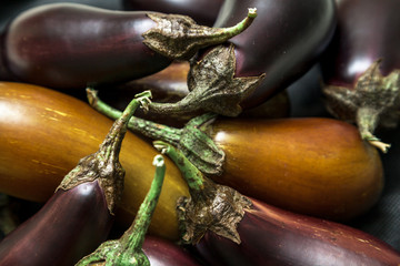 Several ripe eggplant closeup