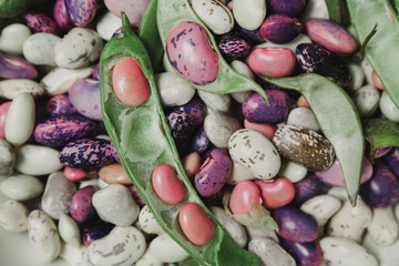 Multicolored beans lie flat