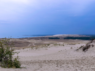 view of sand dune, poor plants, dark blue sky before rain