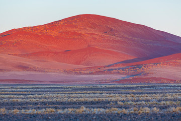 Namib Naukluft National Park, Namibia, Africa