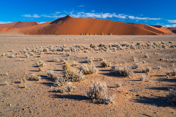 Sand Dunes, Namib Naukluft National Park, Namibia, Africa
