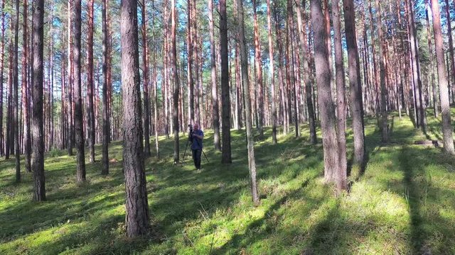 A photographer takes pictures in a pine forest.