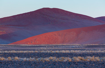 Namib Naukluft National Park, Namibia, Africa