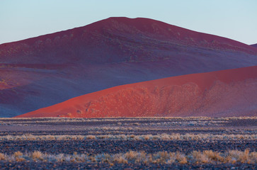 Namib Naukluft National Park, Namibia, Africa