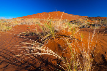 Sand Dunes, Namib Naukluft National Park, Namibia, Africa