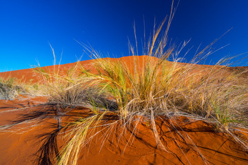 Sand Dunes, Namib Naukluft National Park, Namibia, Africa