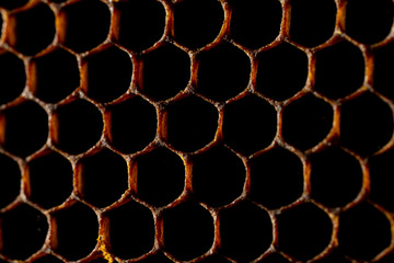 Honeycomb Texture Sweet nectar not yet extracted from the honeycomb. Background of honeycombs in dark golden hues. Macro shooting of honeycombs. Decorative background