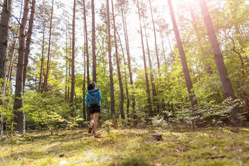 Naklejka na ściany i meble Young woman hiking in the forest