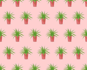 Pink seamless pattern with aloe in the pot