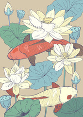 two koi carps and white lotus
