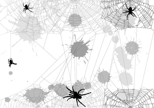 background with spider in webs and blots isolated on white