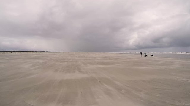 Sand storm at Schiermonnikoog Beach in the Netherlands with dog and people