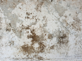 Background texture white and gray vintage cement wall